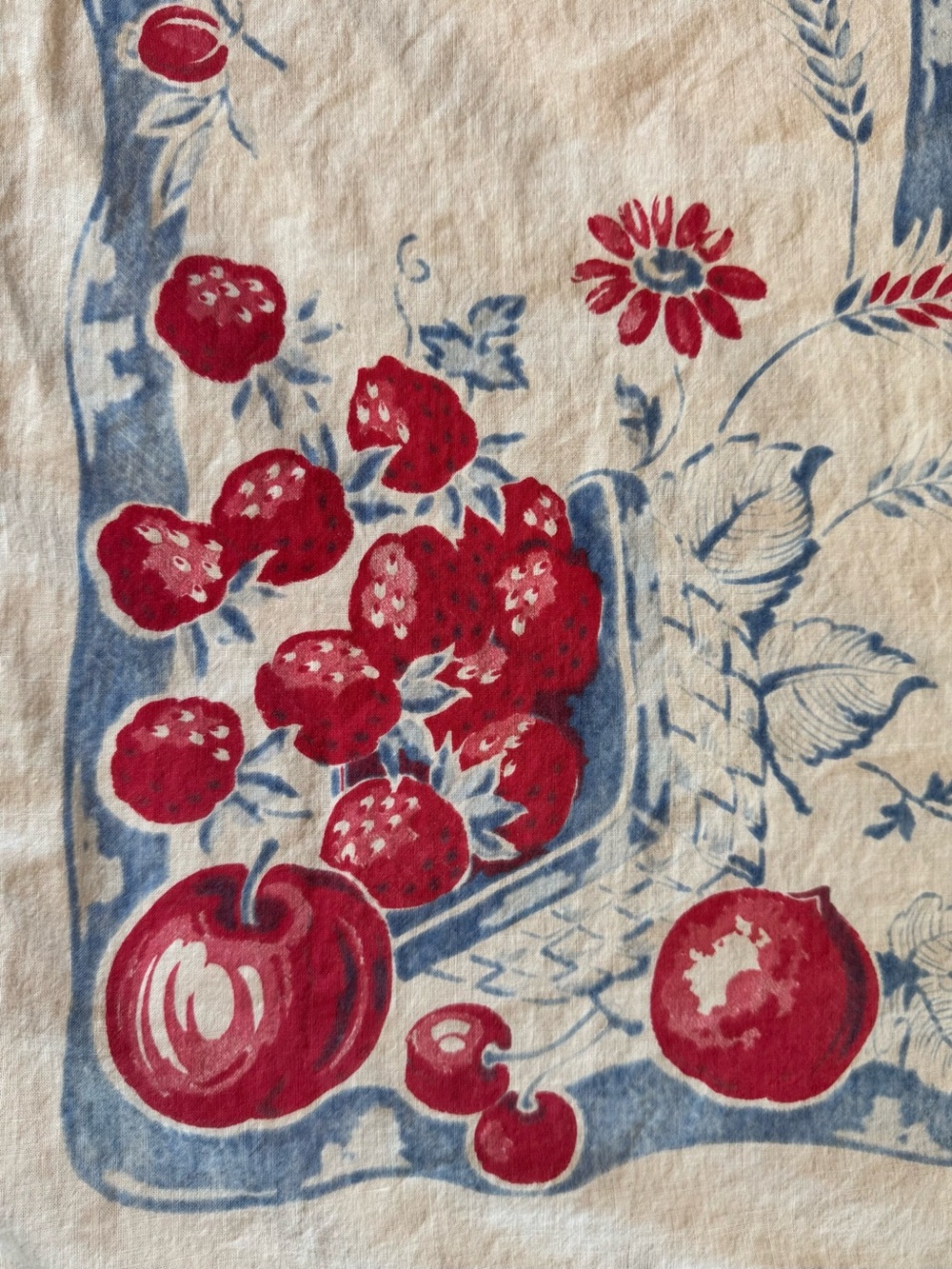 American Vintage Red and Blue Fruit Print Kitchen Tablecloth
